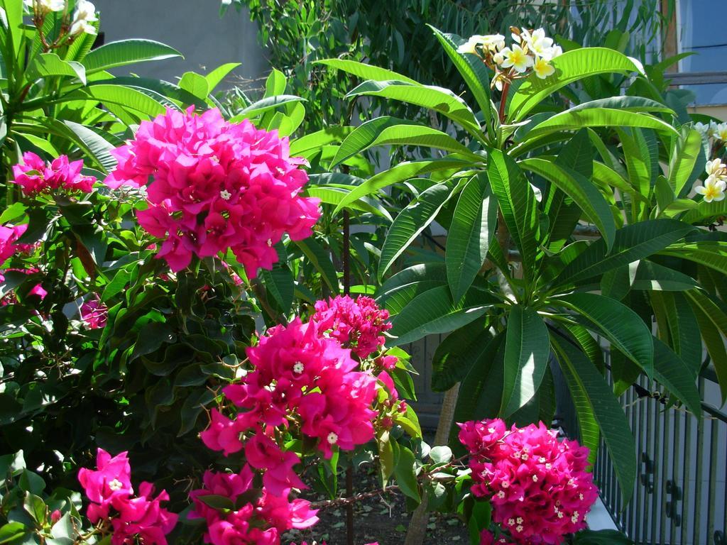 Callista Sea View Or Garden * Kissamos